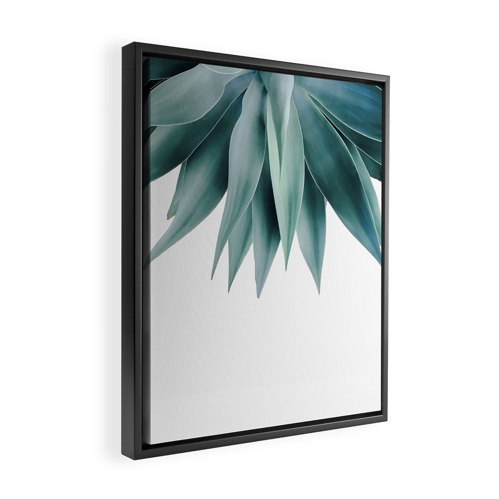 Agave fringe Framed Canvas Print Gallery Image 2