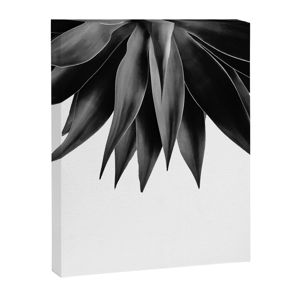 Agave fringe - noir Canvas Print Gallery Image 8