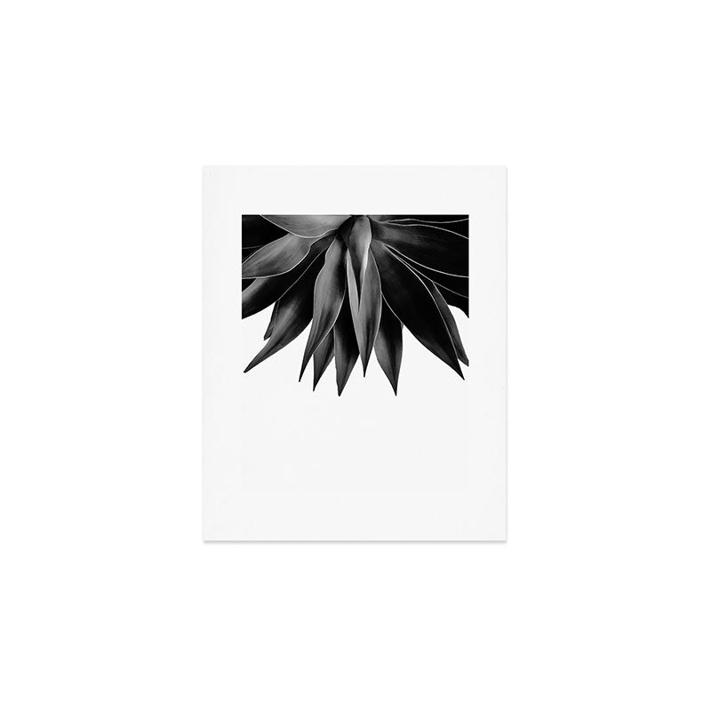 Agave fringe - noir Art Print Gallery Image 1