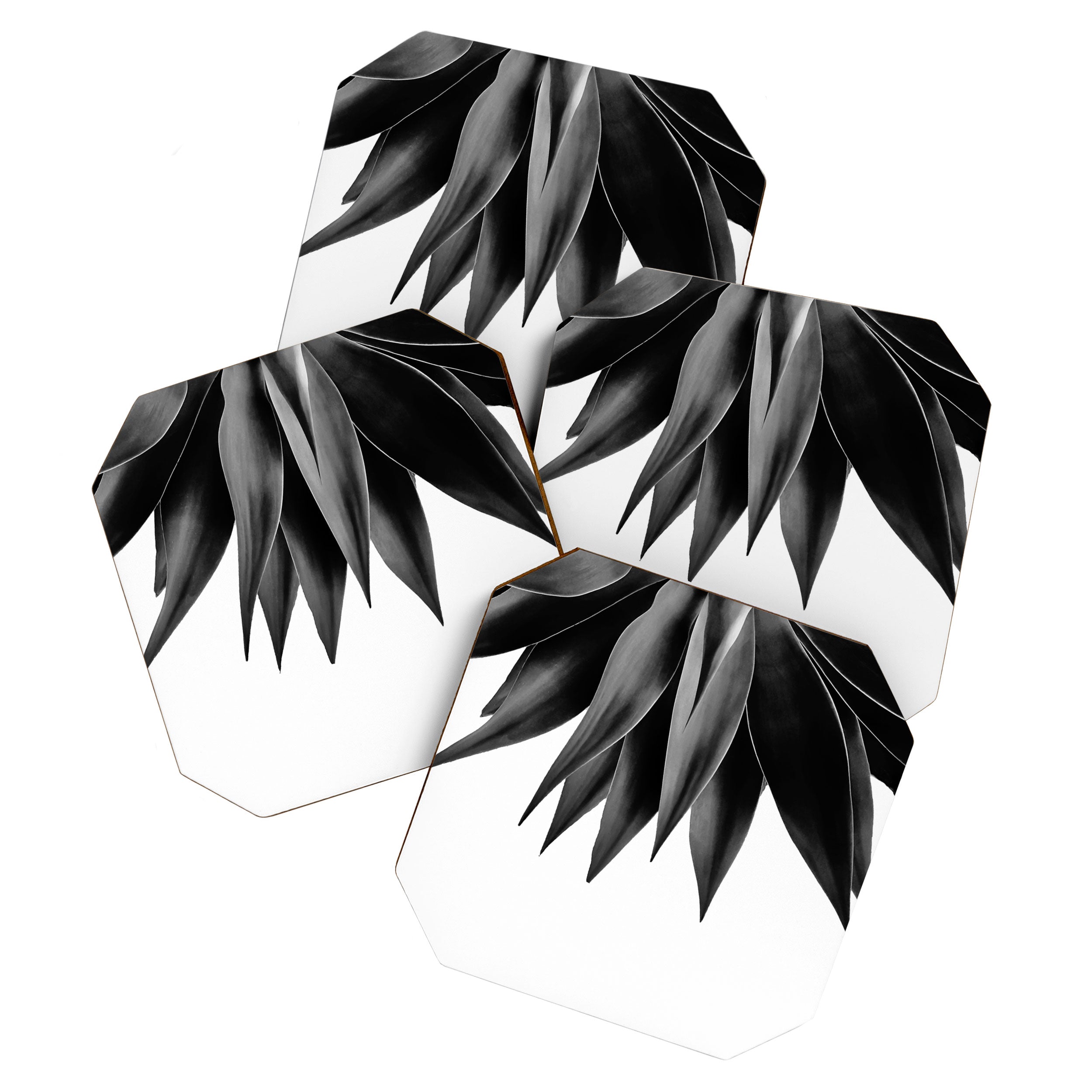 Agave fringe - noir Coaster Gallery Image 1