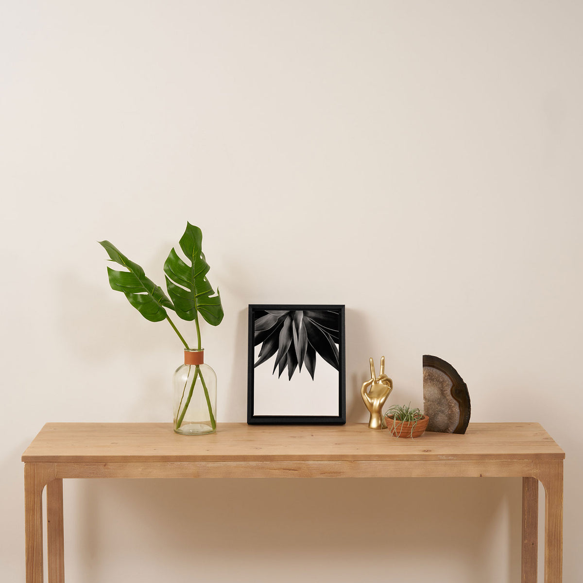 Agave fringe - noir Framed Canvas Print Gallery Image 4