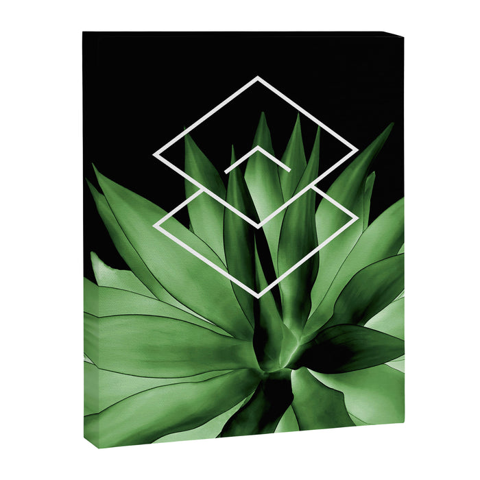 Agave geometrics III Canvas Print Gallery Image 1
