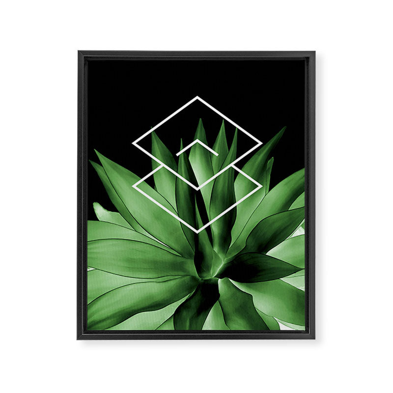 Agave geometrics III Framed Canvas Print Gallery Image 6