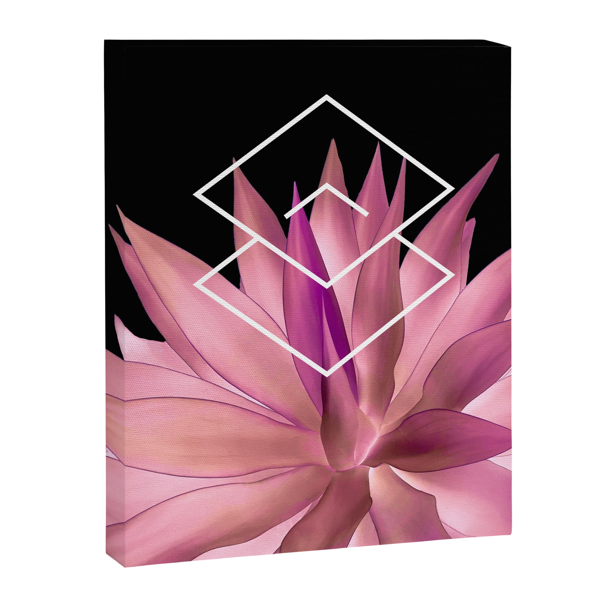Agave geometrics III - pink Canvas Print Gallery Image 6