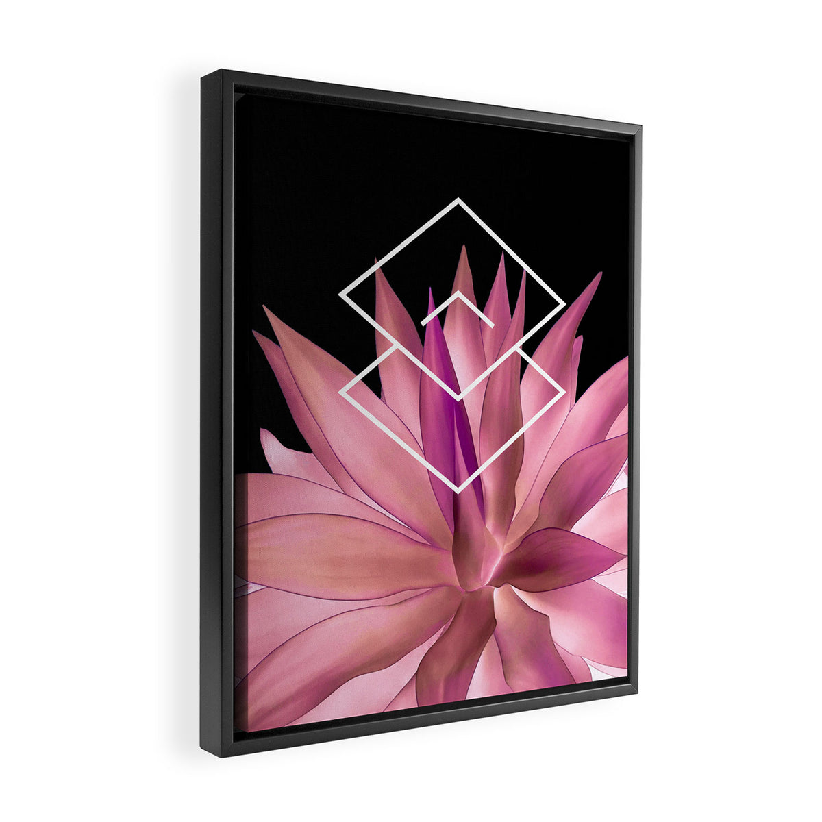 Agave geometrics III - pink Framed Canvas Print Gallery Image 2
