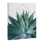 Agave geometrics Canvas Print Gallery Image 8