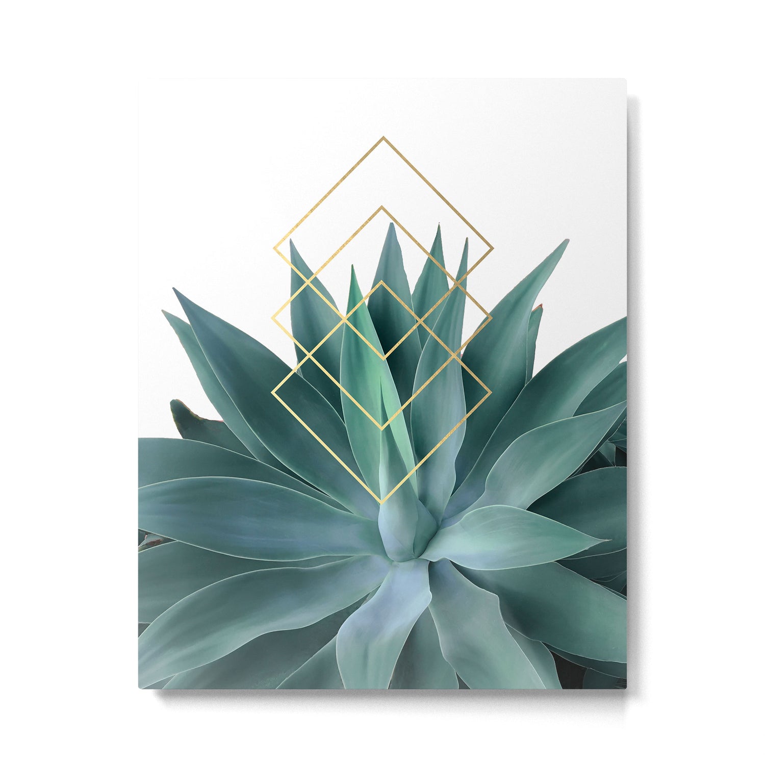 Agave geometrics Metal Print Gallery Image 6