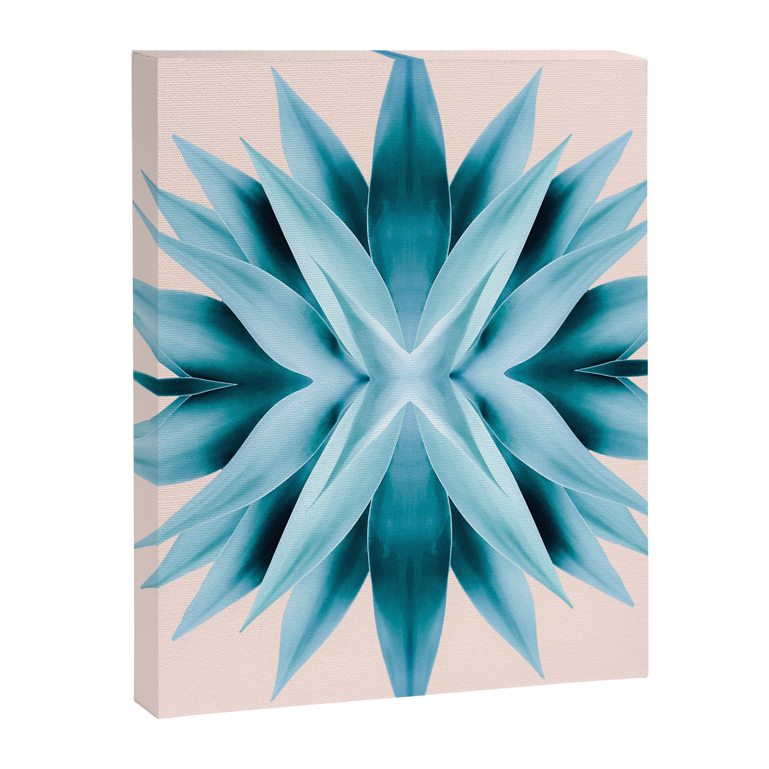 Agave mandala Canvas Print Gallery Image 6