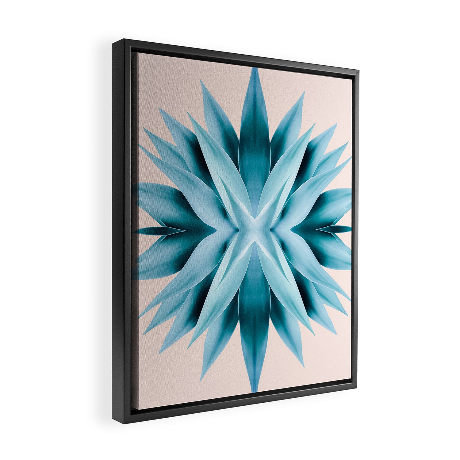 Agave mandala Framed Canvas Print Gallery Image 2