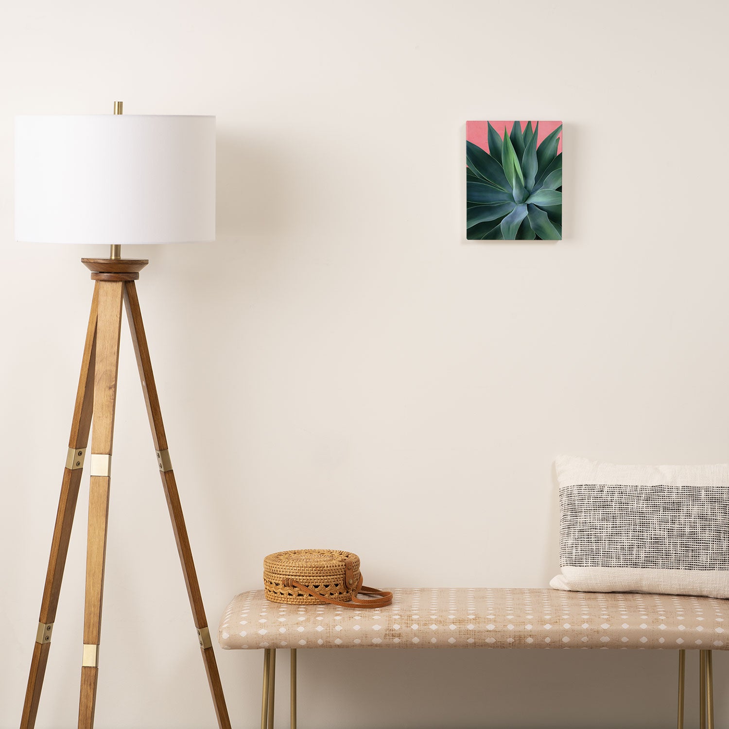 Agave succulent Canvas Print Gallery Image 2