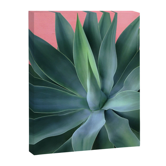 Agave succulent Canvas Print Gallery Image 1