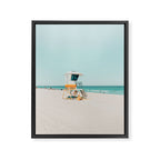 Aussie lifeguard Framed Canvas Print Gallery Image 6