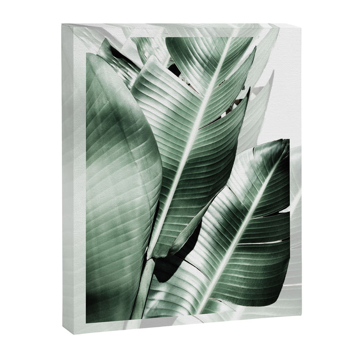 Banana leaf akin Canvas Print Gallery Image 1