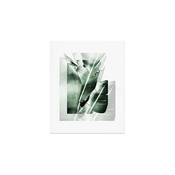 Banana leaf akin Art Print Gallery Image 1
