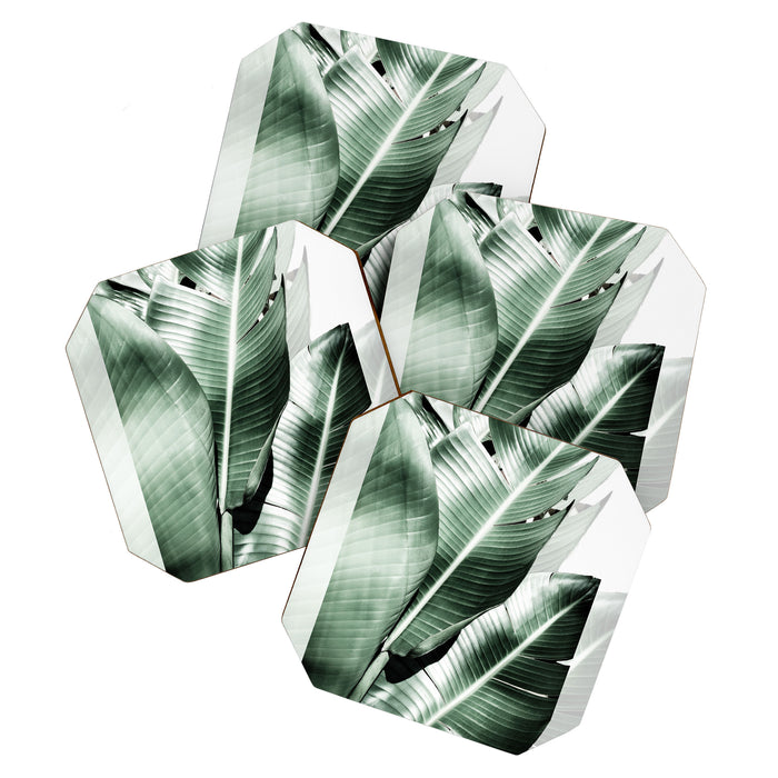 Banana leaf akin Coaster Gallery Image 1