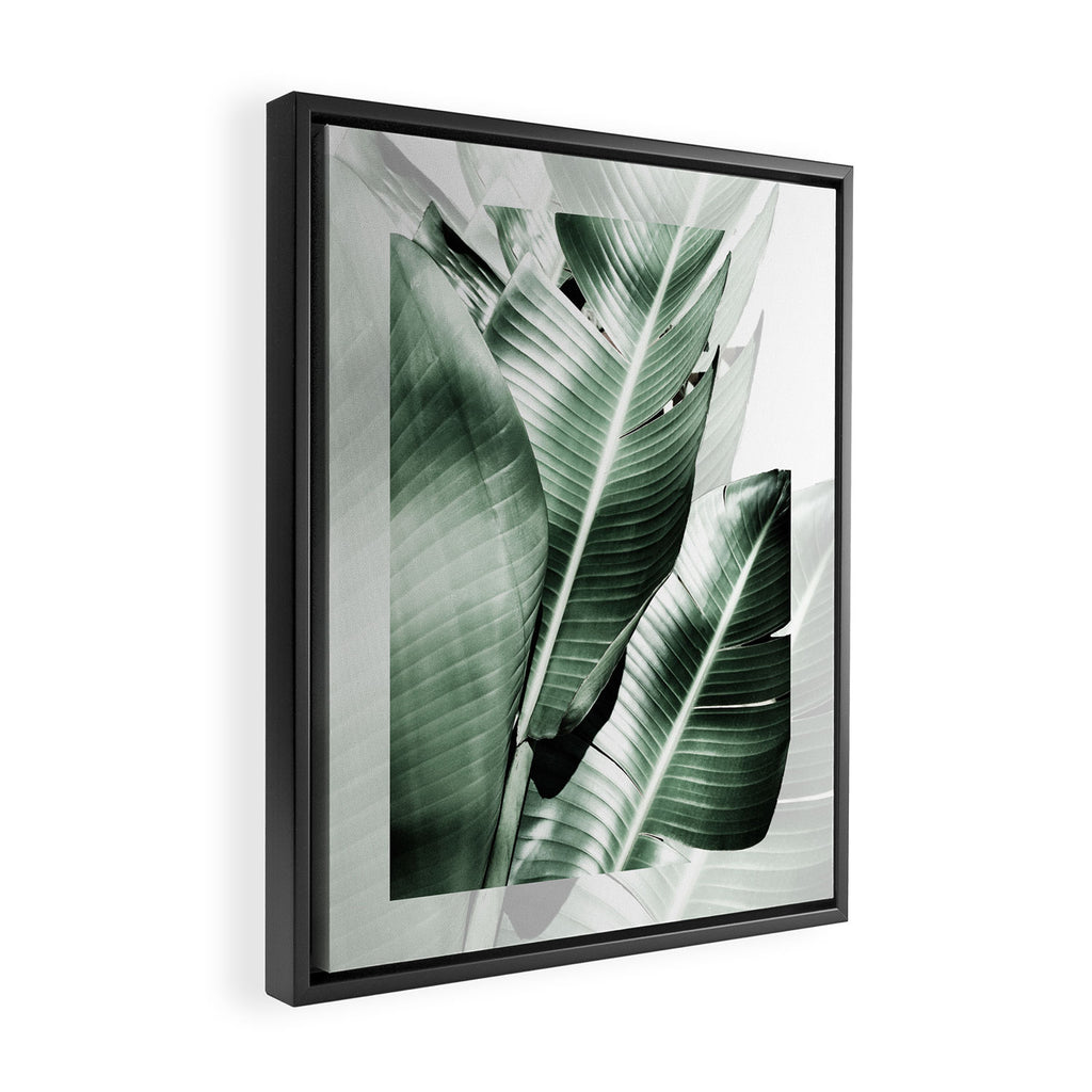 Banana leaf akin Framed Canvas Print Gallery Image 2