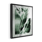 Banana leaf akin Framed Canvas Print Gallery Image 2