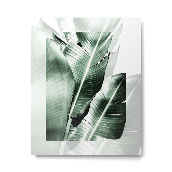 Banana leaf akin Metal Print Gallery Image 1