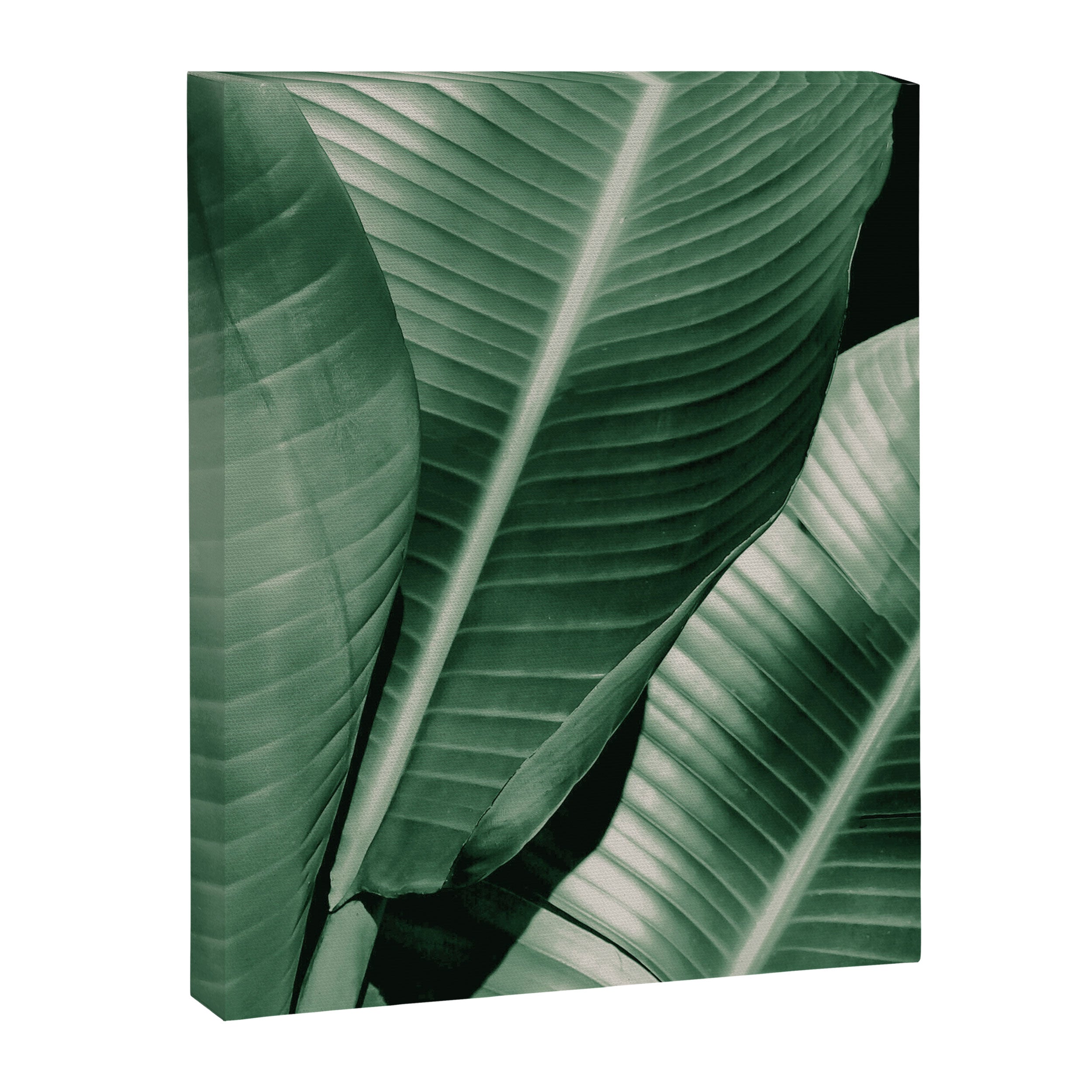 Banana leaf allure Canvas Print Gallery Image 8