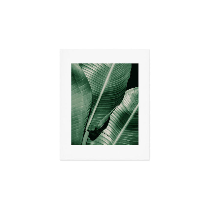 Banana leaf allure Art Print Gallery Image 1