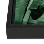 Banana leaf allure Framed Canvas Print Gallery Image 3