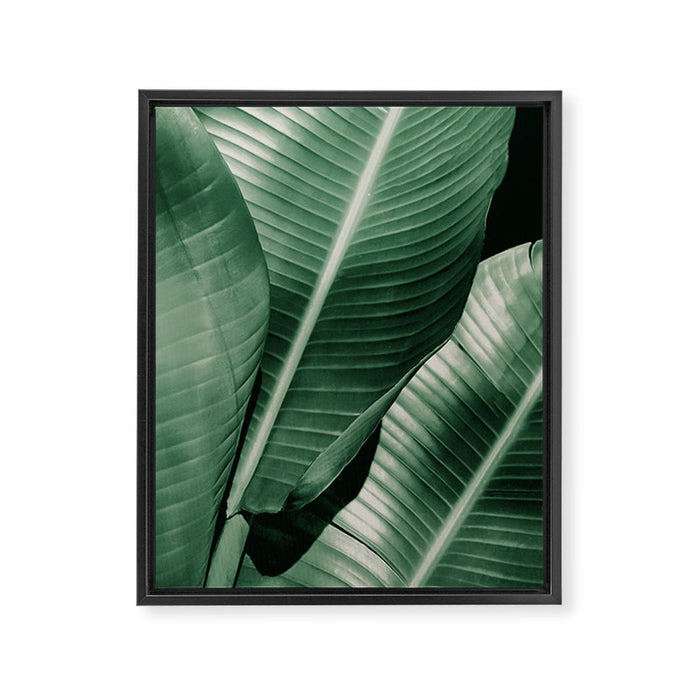 Banana leaf allure Framed Canvas Print Gallery Image 1