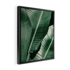 Banana leaf allure Framed Canvas Print Gallery Image 2