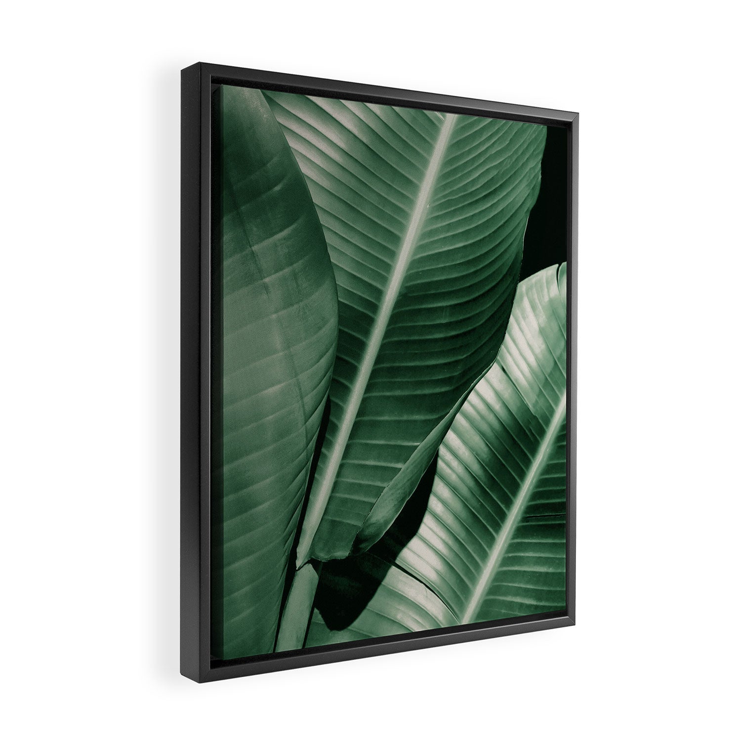 Banana leaf allure Framed Canvas Print Gallery Image 2