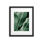 Banana leaf allure Framed Art Print Gallery Image 6