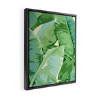 Banana leaf grandeur Framed Canvas Print Gallery Image 2