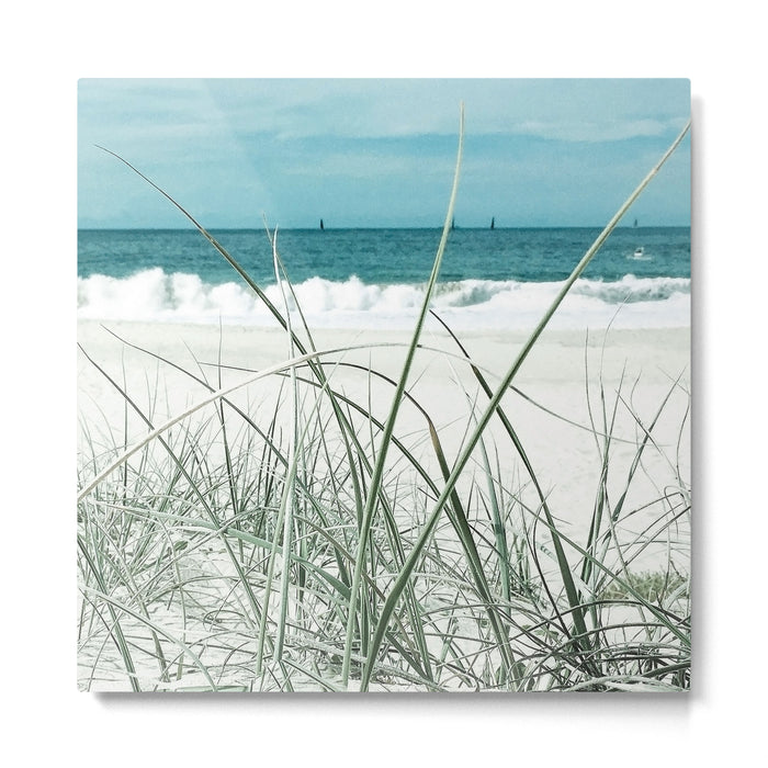Beach grass Metal Print Gallery Image 1