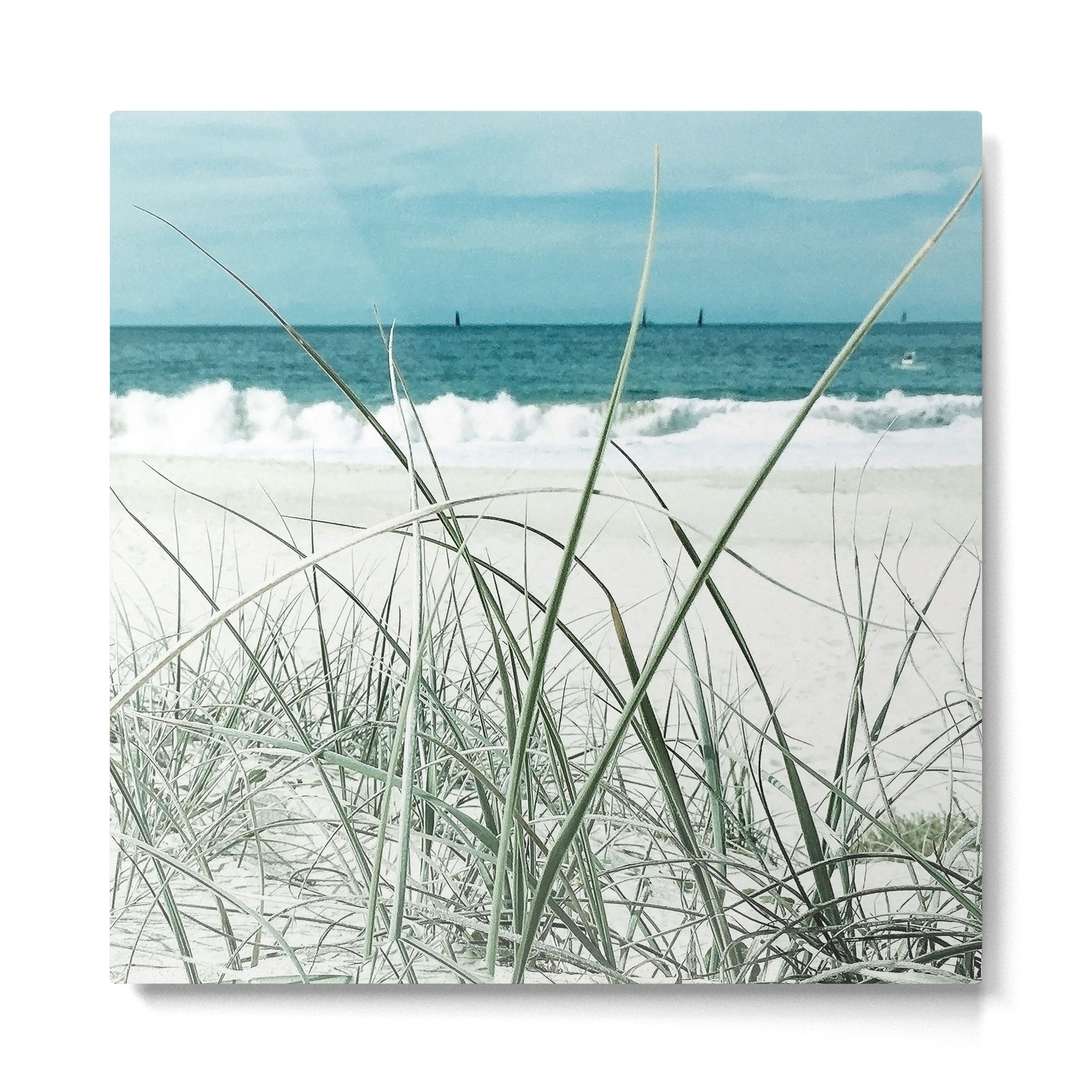 Beach grass Metal Print Gallery Image 2