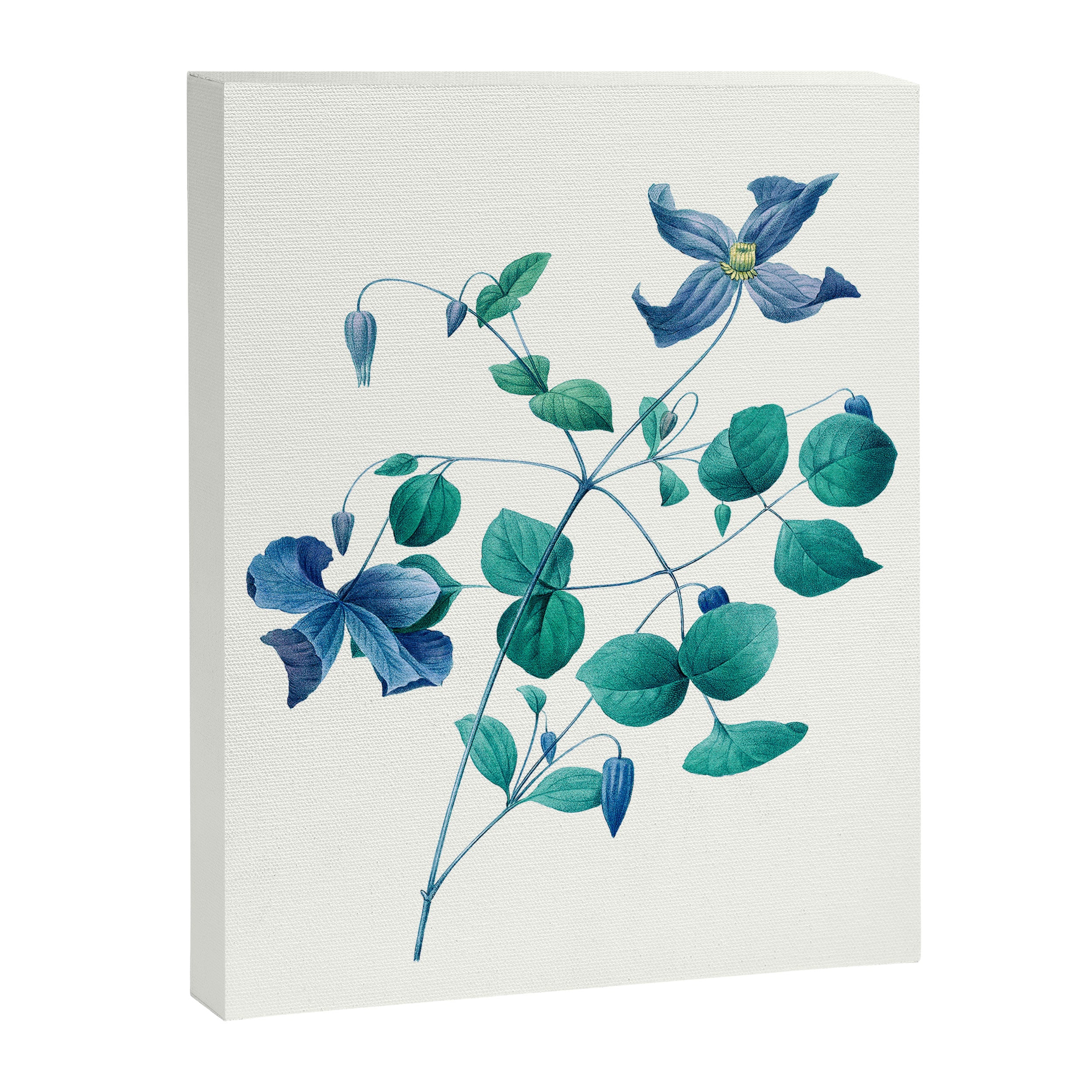 Botanica bloom Canvas Print Gallery Image 8