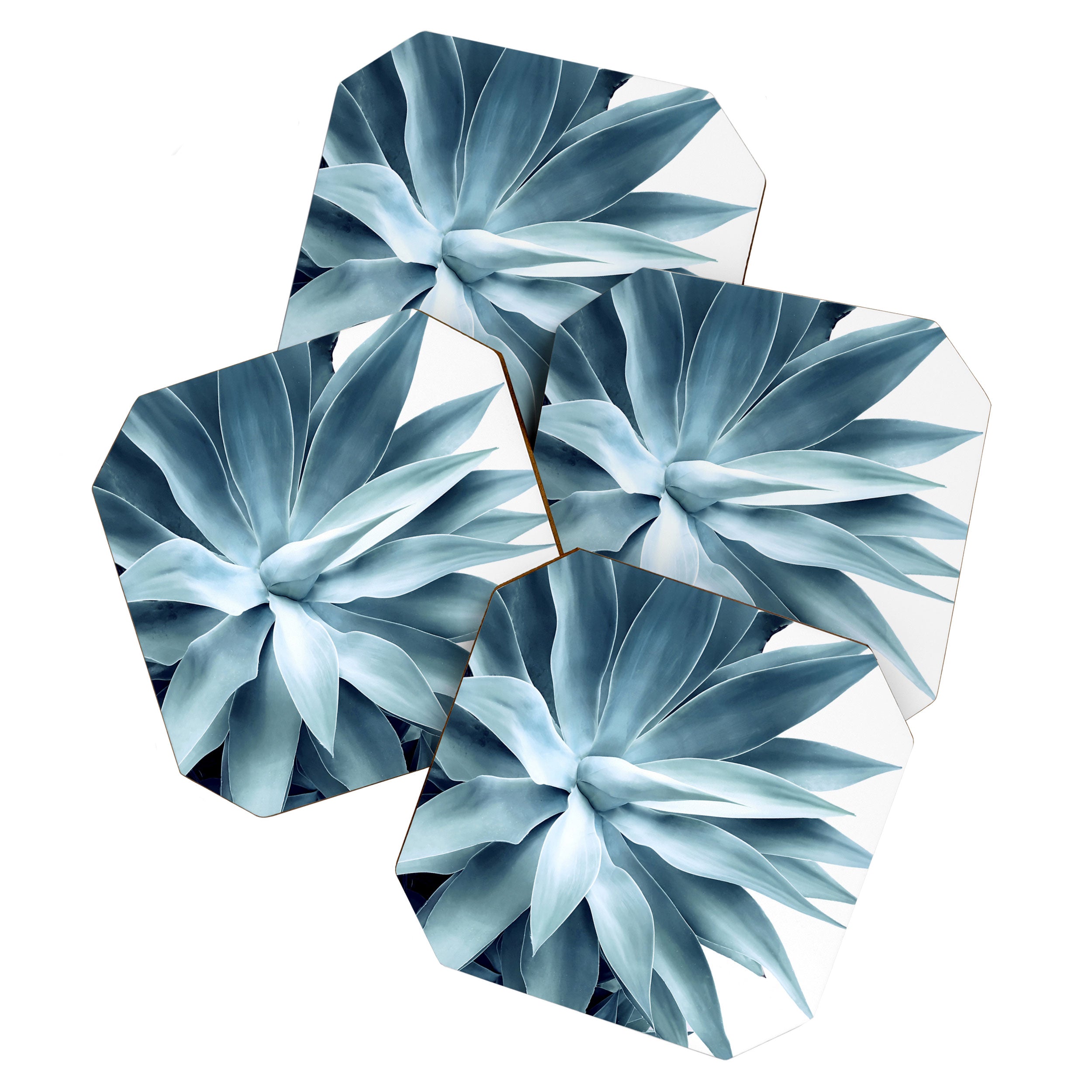 Bursting into life - teal Coaster Gallery Image 1