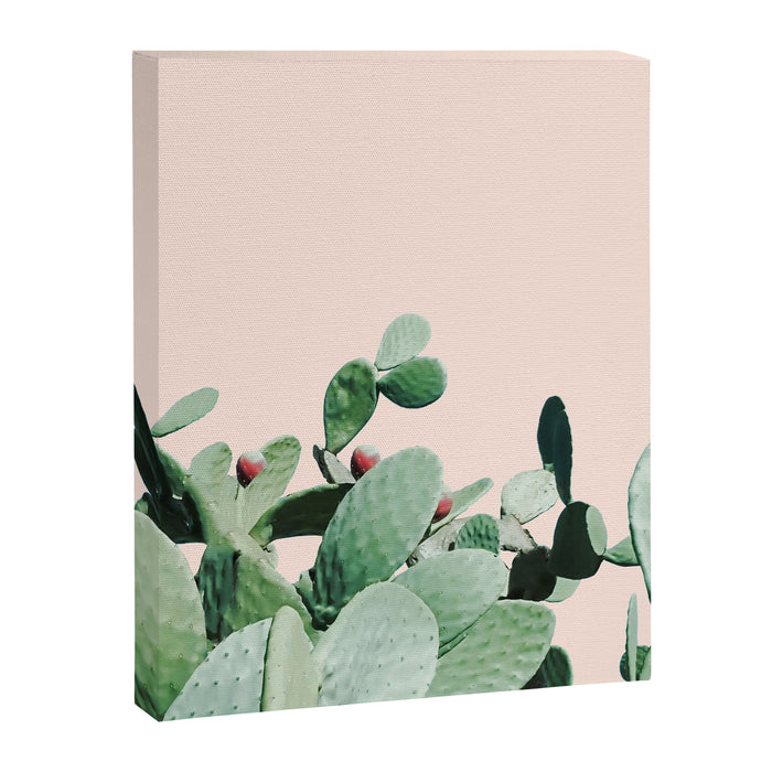 Cactus culture Canvas Print Gallery Image 1