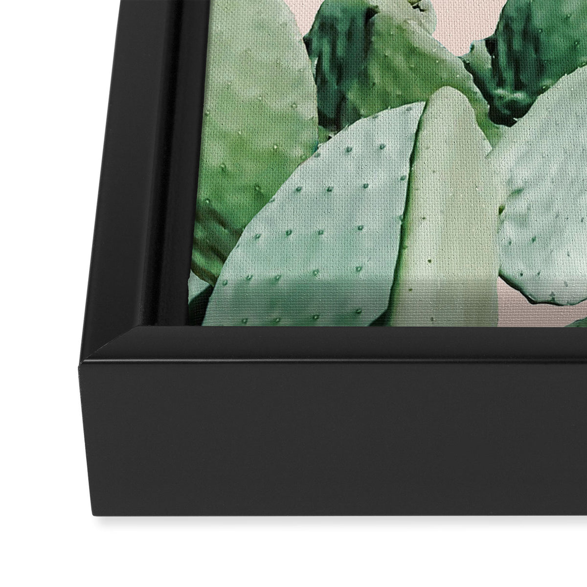 Cactus culture Framed Canvas Print Gallery Image 3