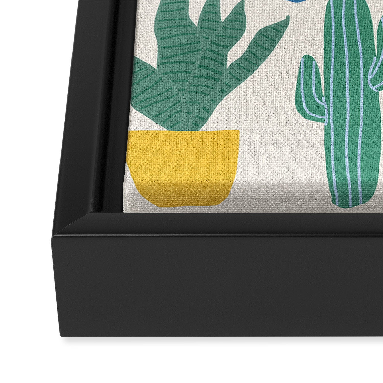 Cactus Garden - primary Framed Canvas Print Gallery Image 3
