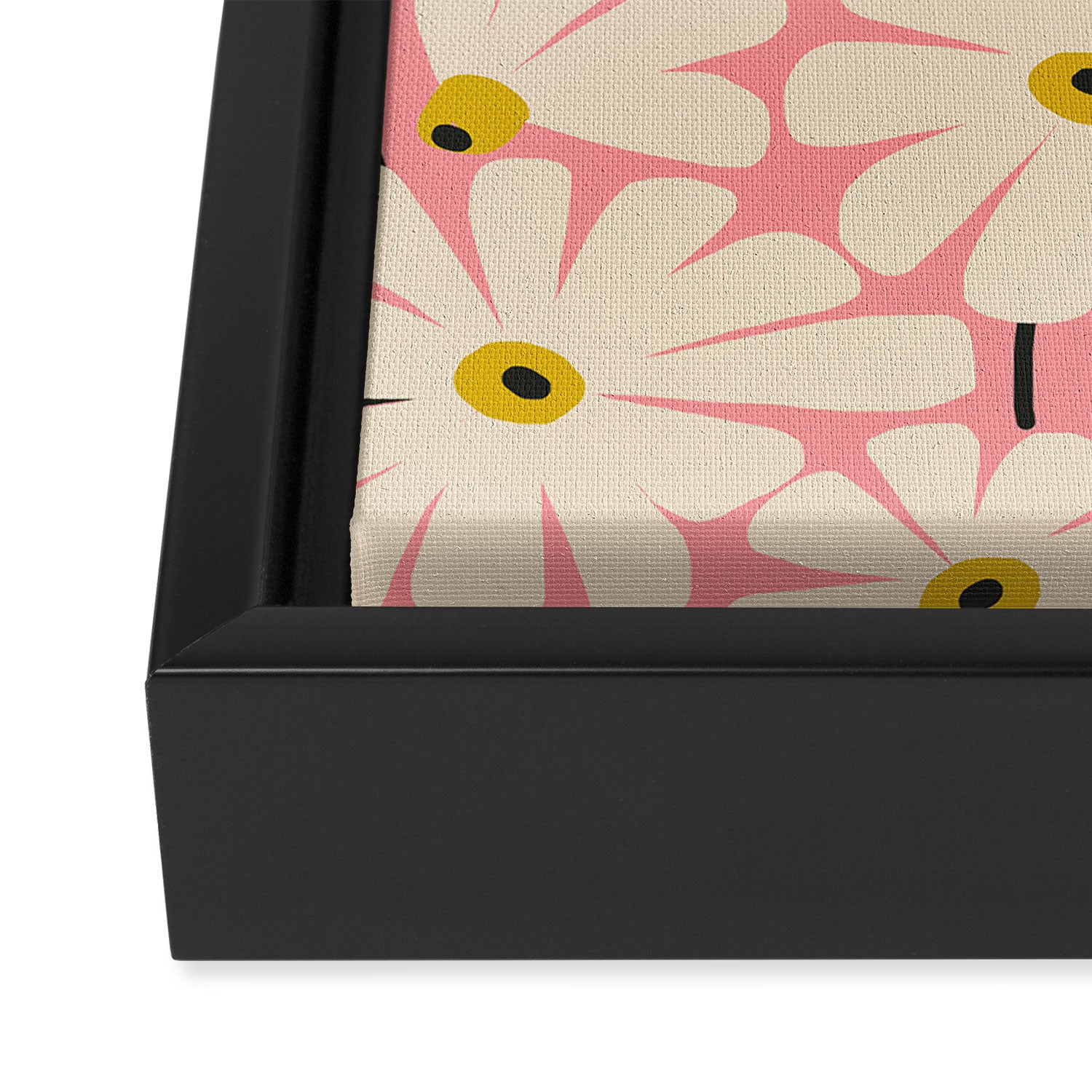 Daisy fresh 2 - pink Framed Canvas Print Gallery Image 3