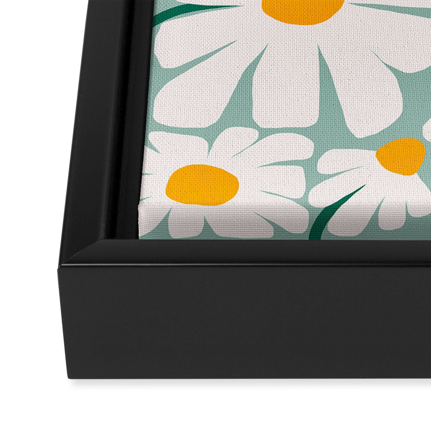 Daisy fresh Framed Canvas Print Gallery Image 3