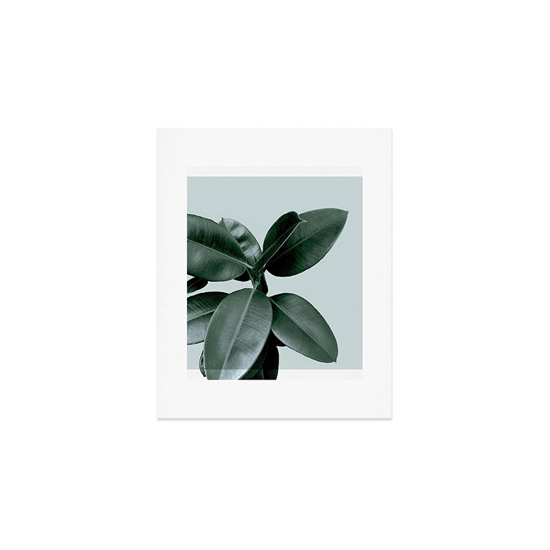 Decorum II Art Print Gallery Image 1