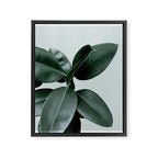 Decorum II Framed Canvas Print Gallery Image 8