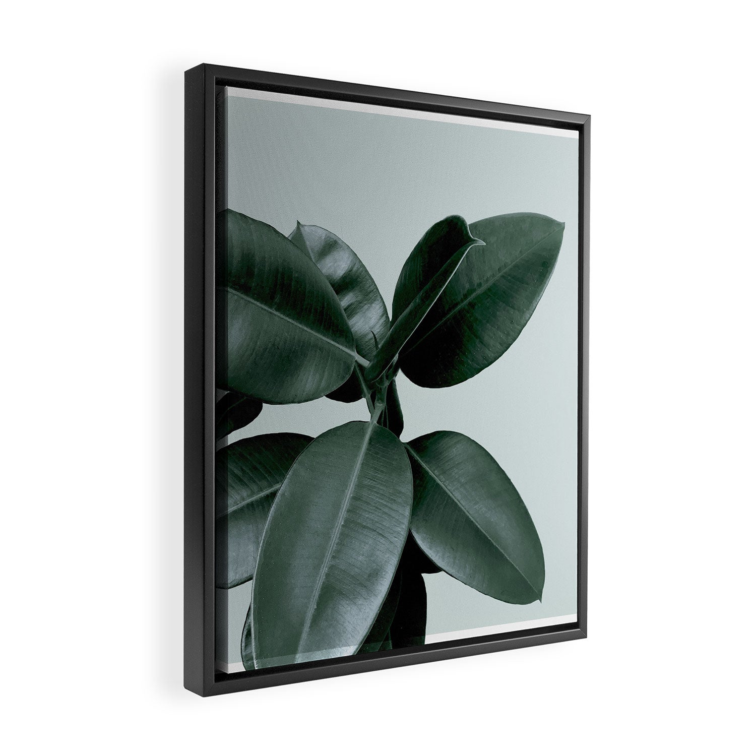 Decorum II Framed Canvas Print Gallery Image 2