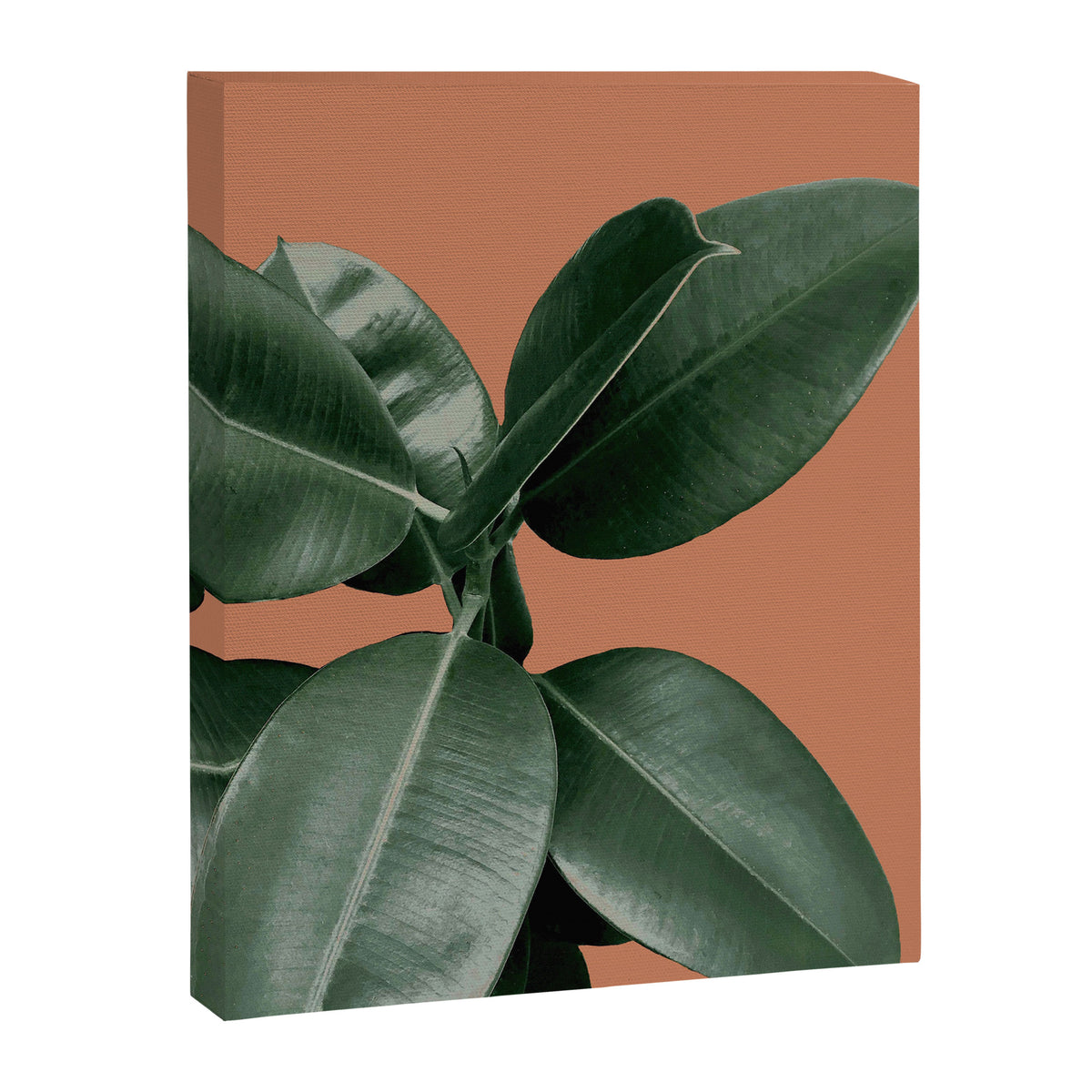 Decorum V4 Canvas Print Gallery Image 8