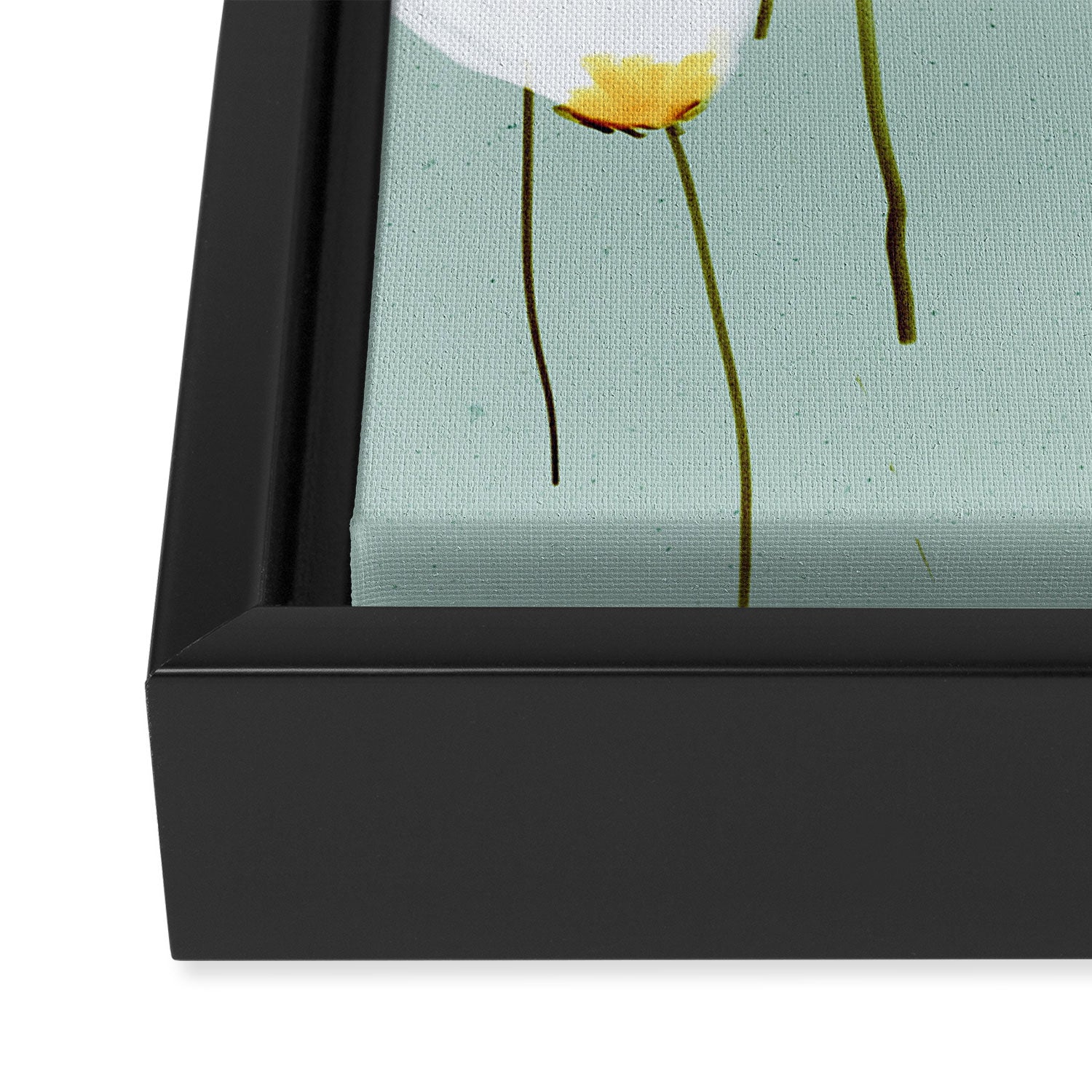 Delicate blooms Framed Canvas Print Gallery Image 3