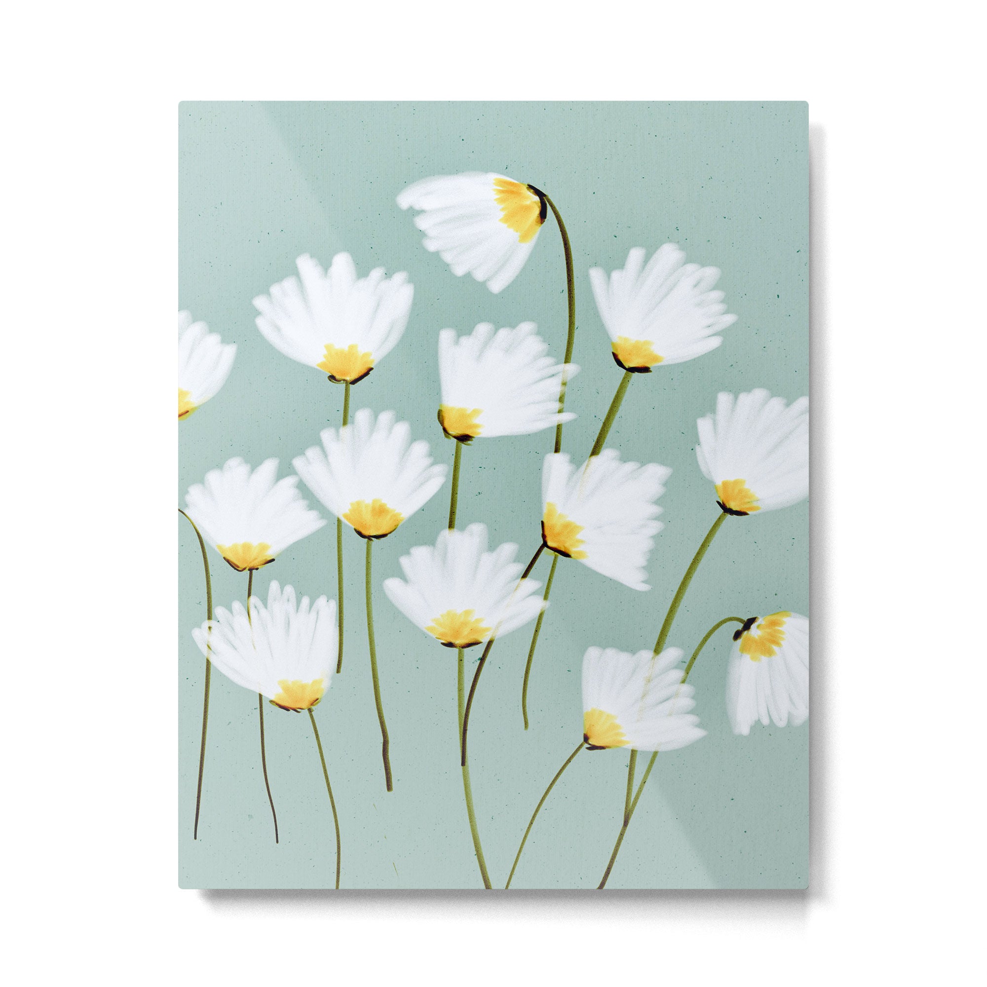Delicate blooms Metal Print Gallery Image 6