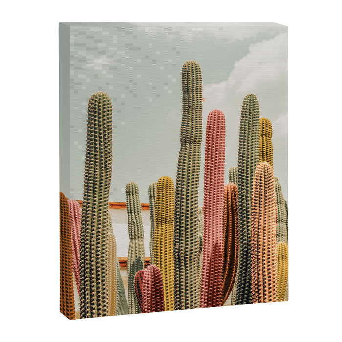 Desert tones Canvas Print Gallery Image 1