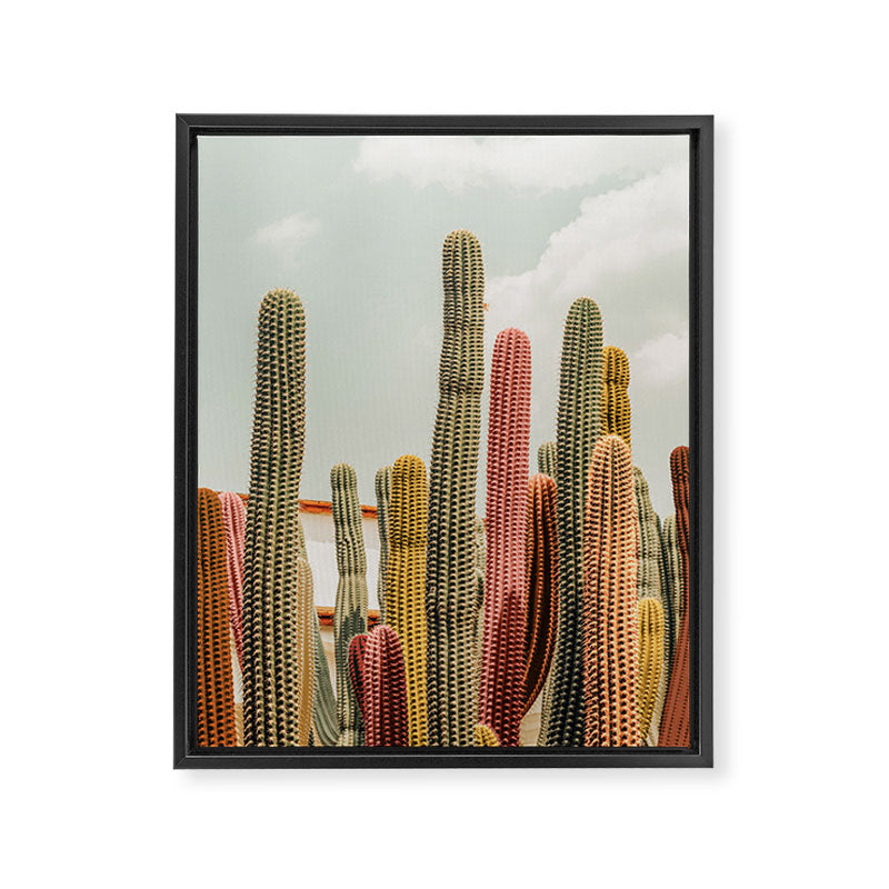 Desert tones Framed Canvas Print Gallery Image 6