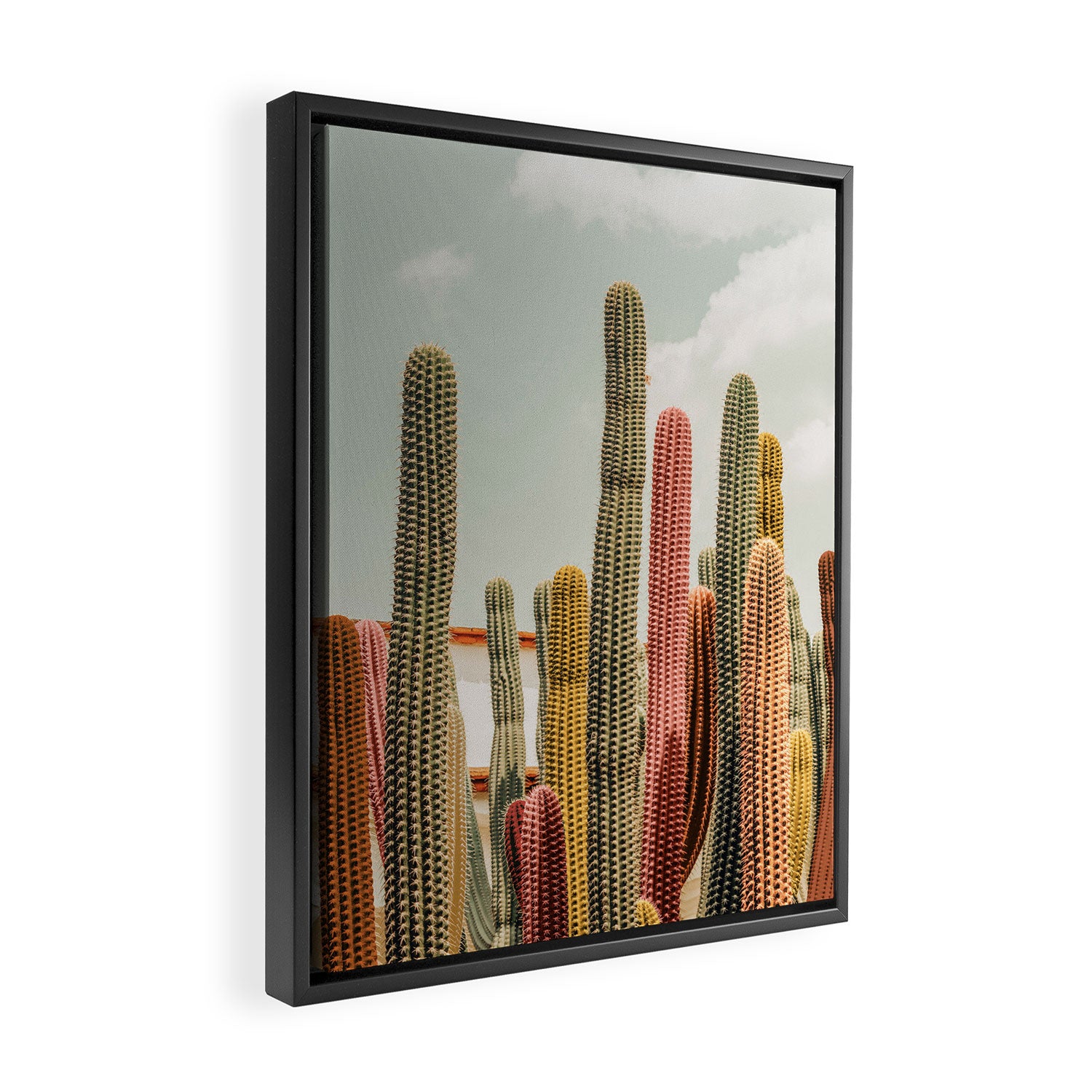 Desert tones Framed Canvas Print Gallery Image 2