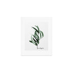 Eucalyptus - Australian gum tree Art Print Gallery Image 1