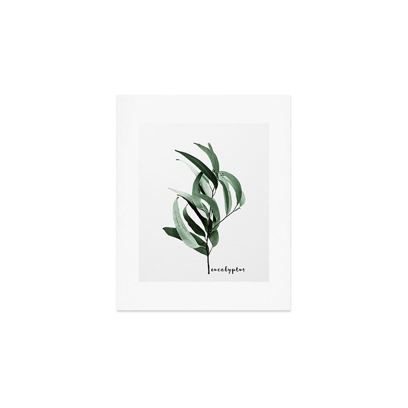 Eucalyptus - Australian gum tree Art Print Gallery Image 1